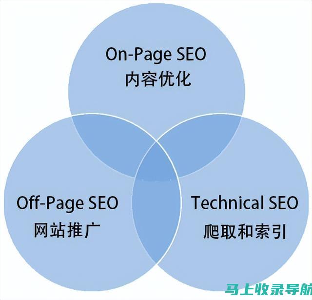 掌握SEO推广秘籍：软件官网引领搜索引擎优化潮流